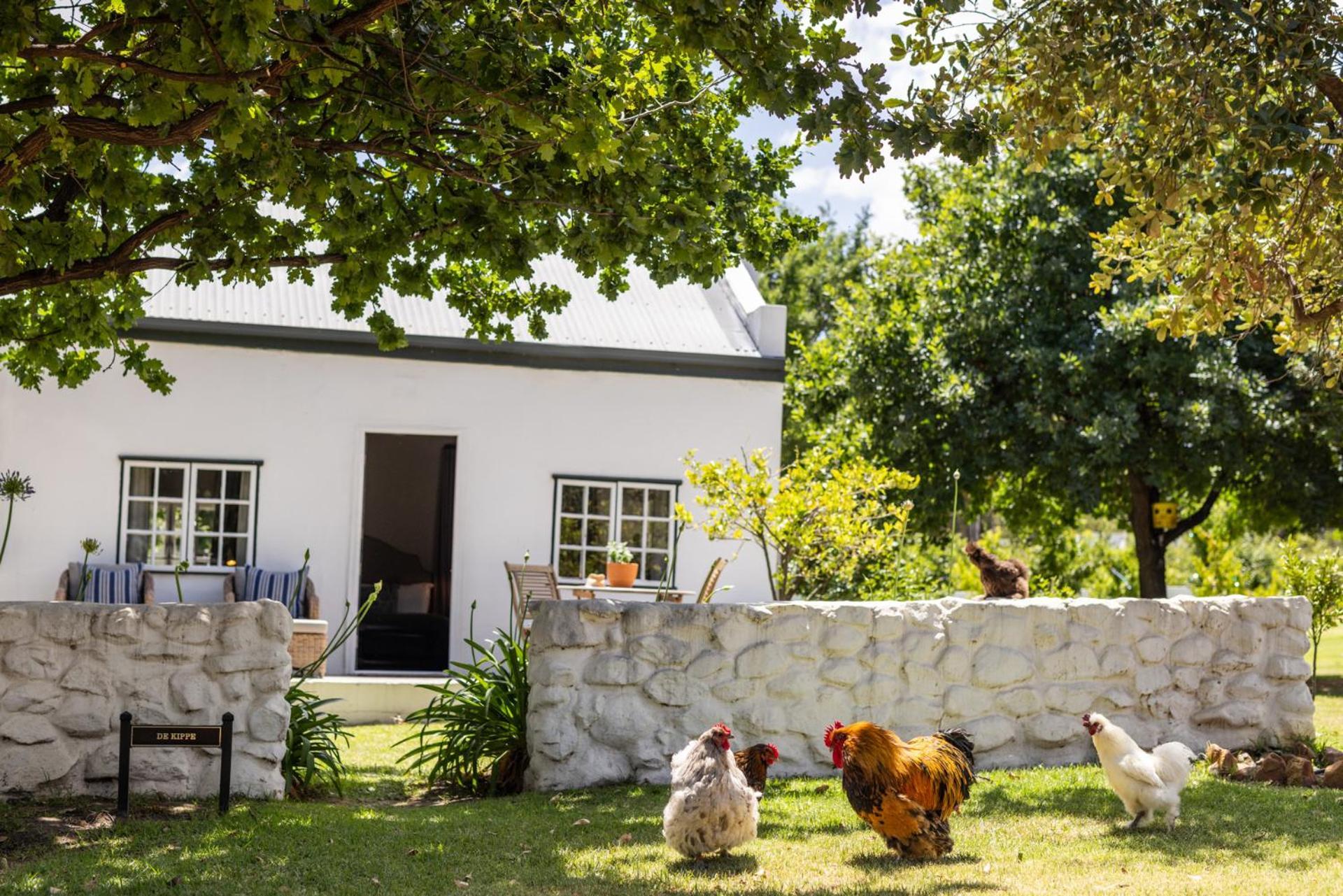 Апартаменты Eikehof Farm Вустер Экстерьер фото